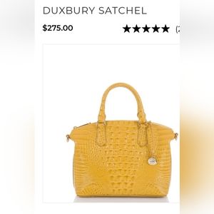 Medium Duxbury in Saffron Yellow